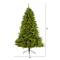 6ft. Pre-Lit Sierra Spruce Artificial Christmas Tree, Clear LED Lights